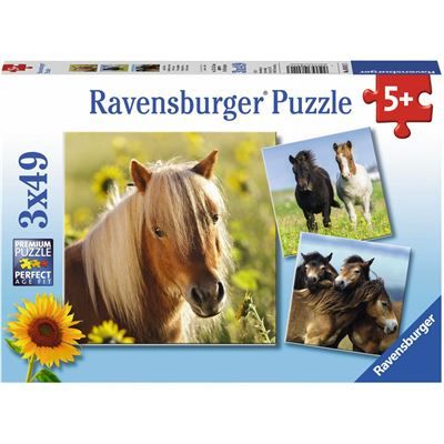 Spiel 2007.0